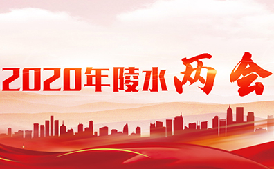 2020年陵水兩會(huì)