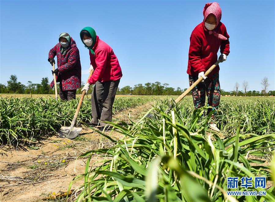 （新華全媒頭條·圖文互動(dòng)）（17）從人民中汲取磅礴力量——習(xí)近平總書記同出席2020年全國兩會(huì)人大代表、政協(xié)委員共商國是紀(jì)實(shí)